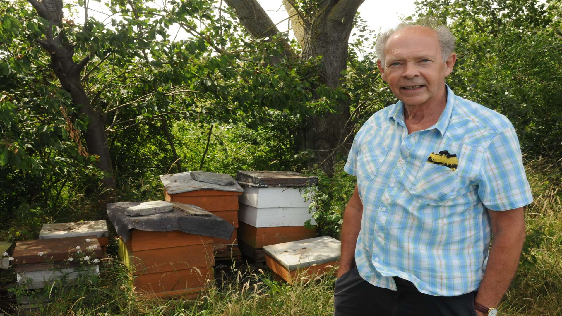 Tony Jeffery is selling his bee hives