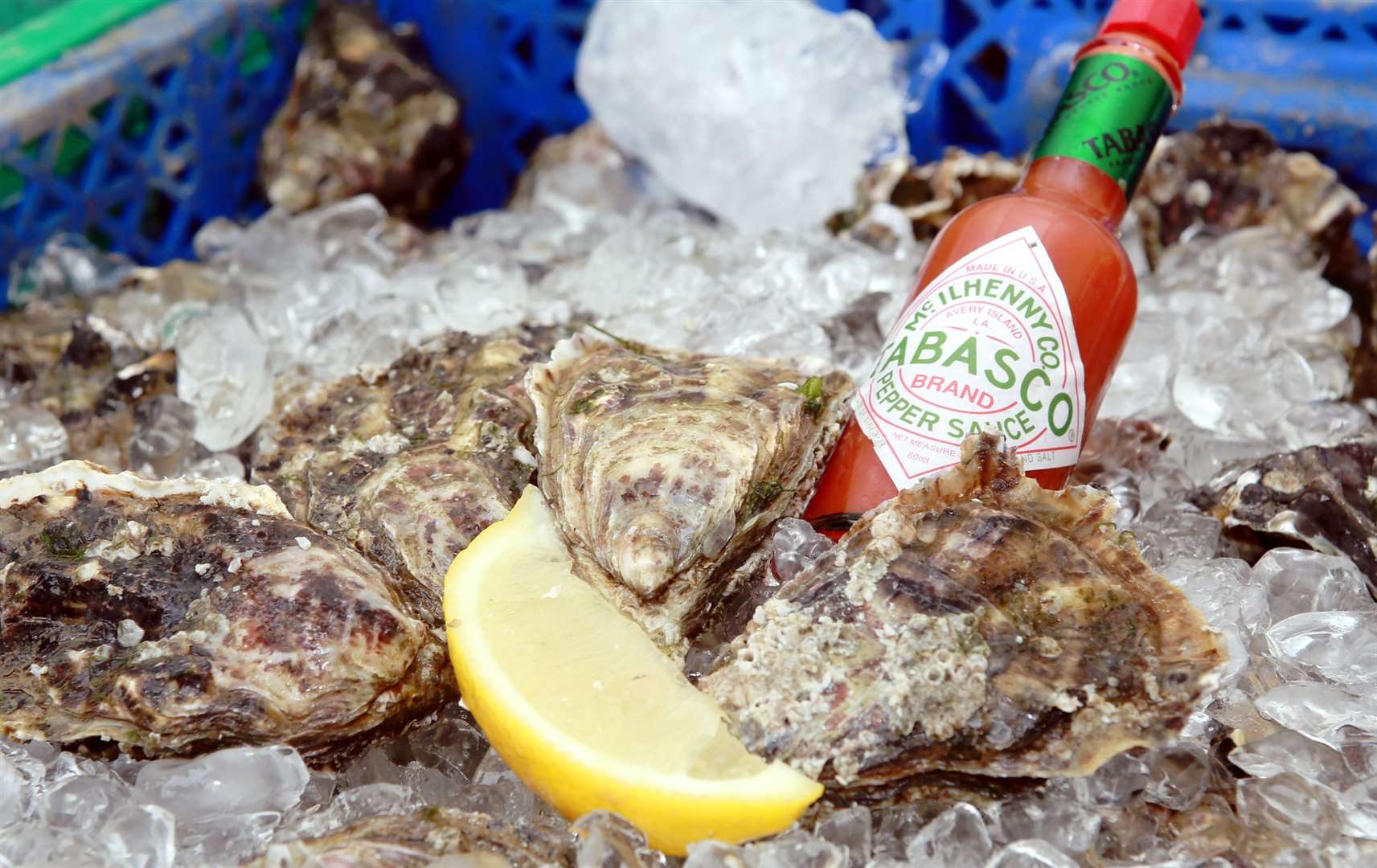 Oysters will be the delicacy of the weekend