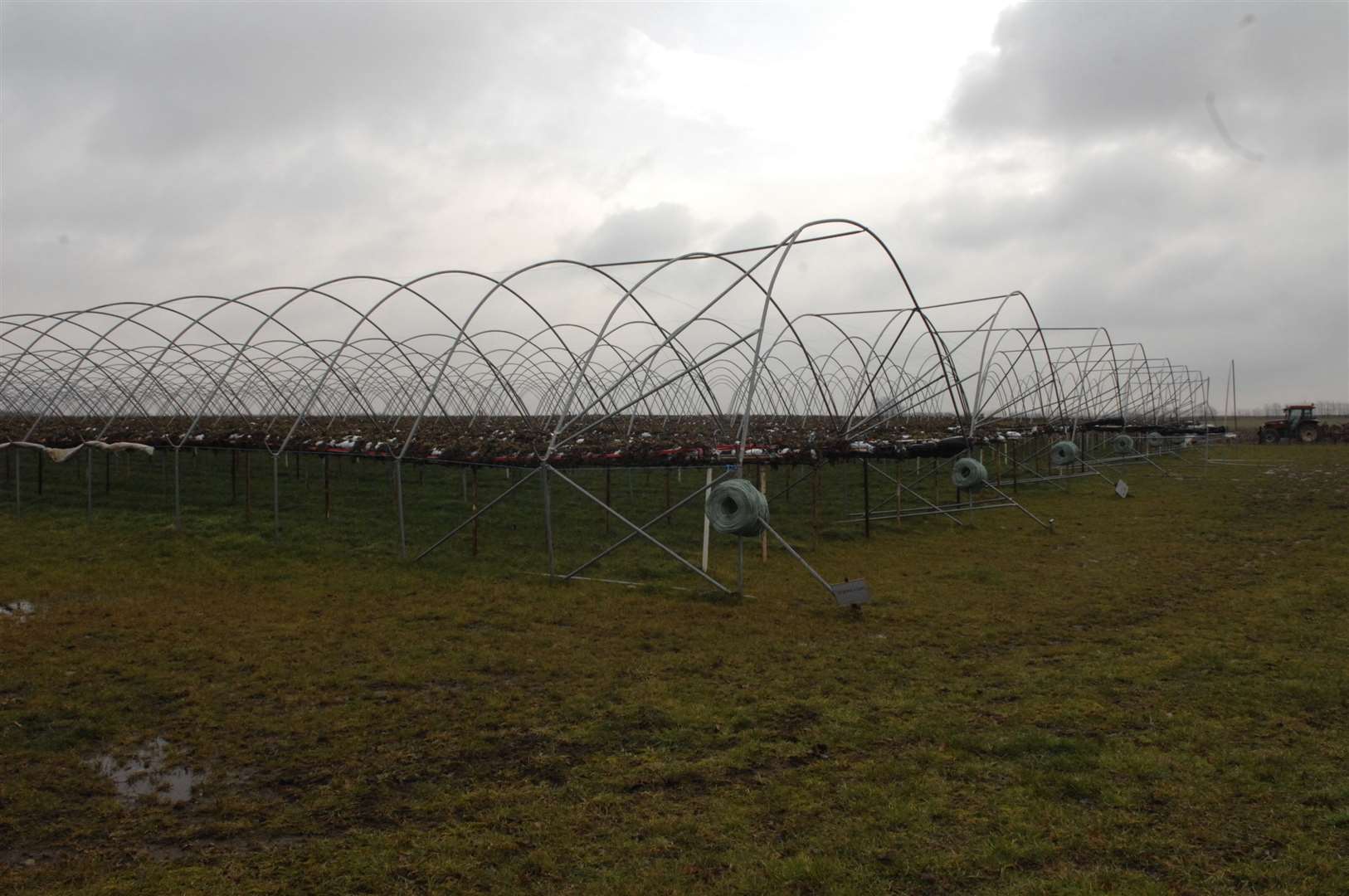 The polytunnels won't be covered between November and March