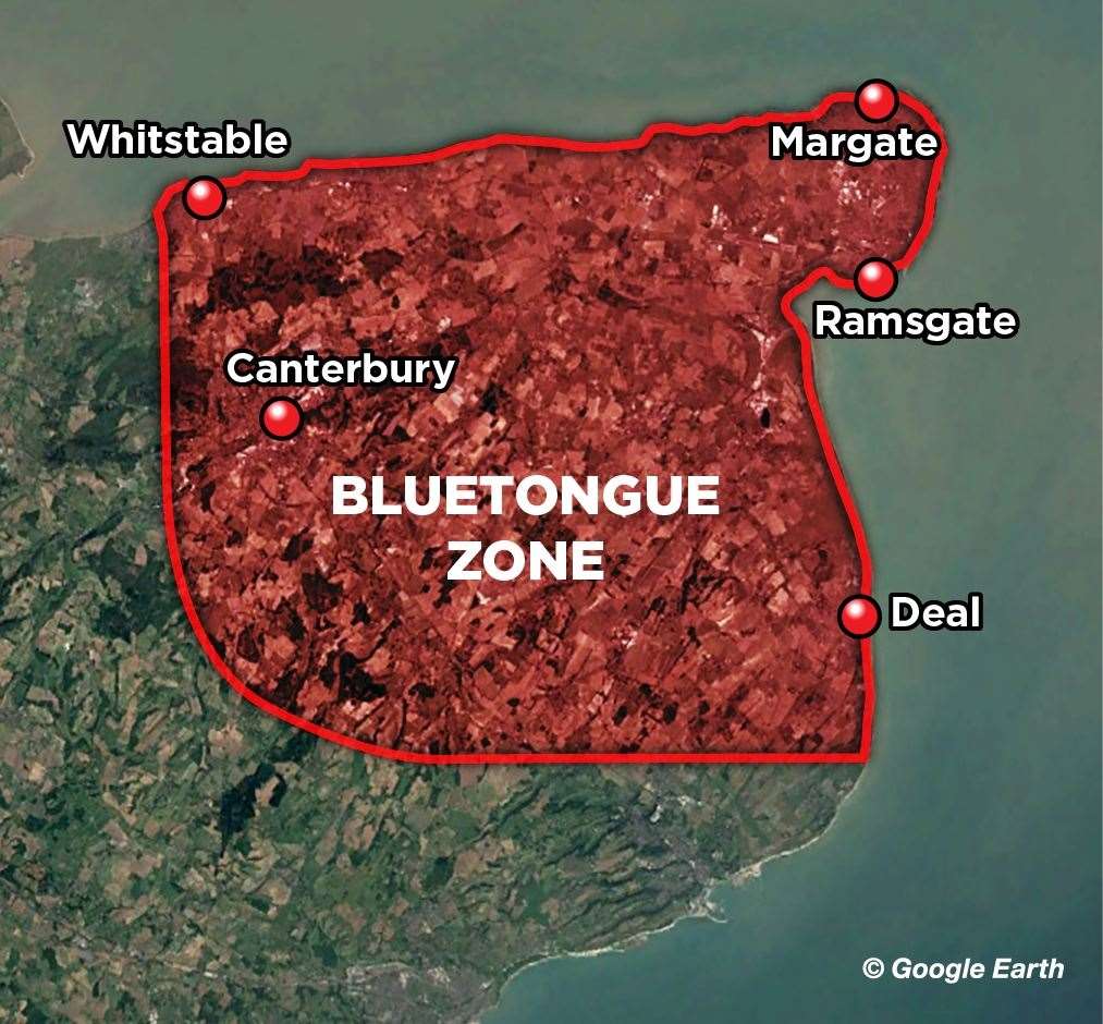 The bluetongue control zone in Kent