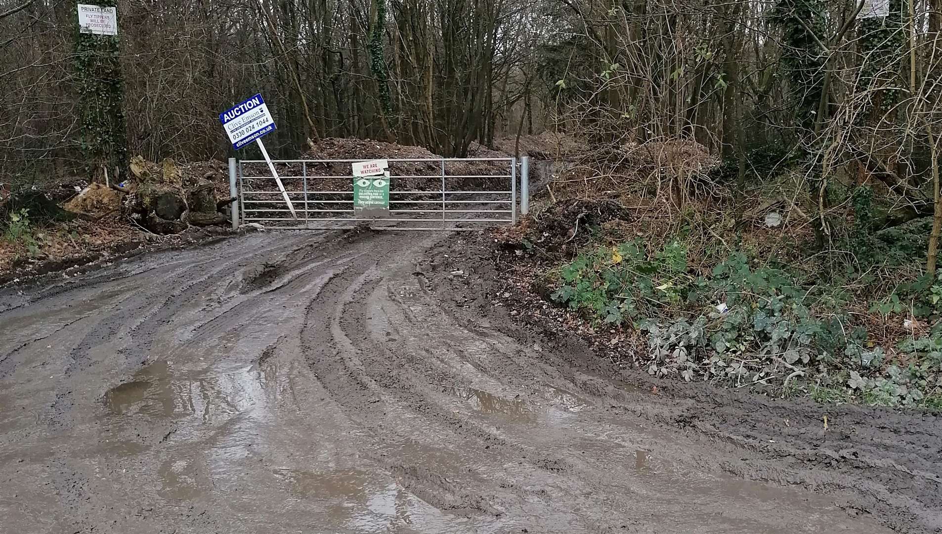 The Environment Agency has closed off the woodland