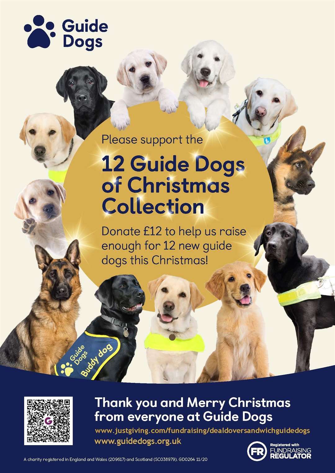 The 12 Guide Dogs of Christmas campaign is running now