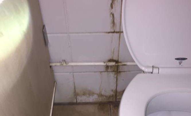 Mould was snapped behind one of the toilets. Picture: Matilda Smith