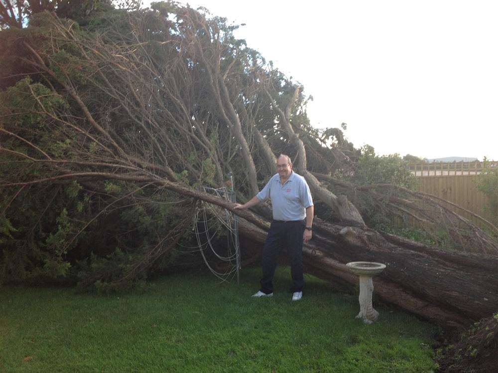 Tony Webb with the 60ft fir tree that uprooted and smashed down in his garden in Minster this morning