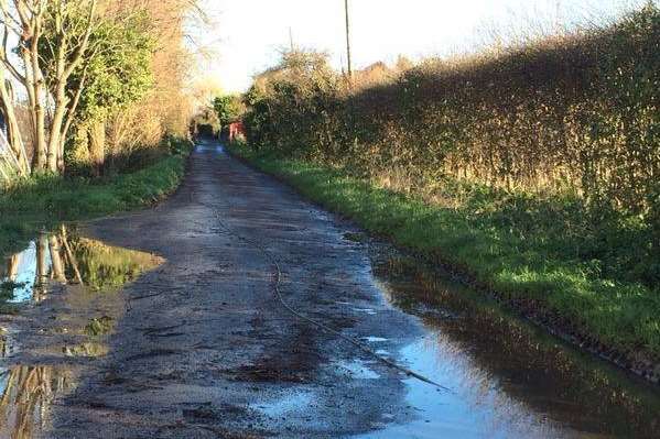 The cable went along the road and into the puddle, electrocuting Bonnie