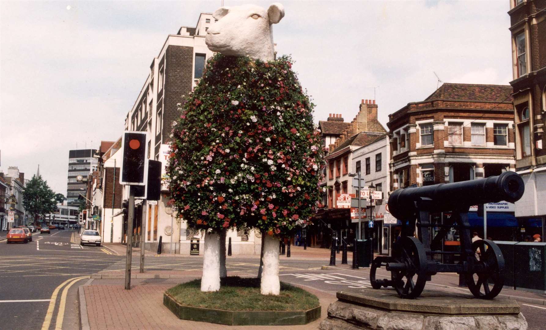 See – I wasn’t making it up...the giant sheep nicknamed, somewhat predictably, Shaun, in Maidstone town centre