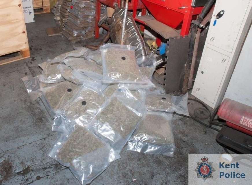 Cannabis found during the police raid
