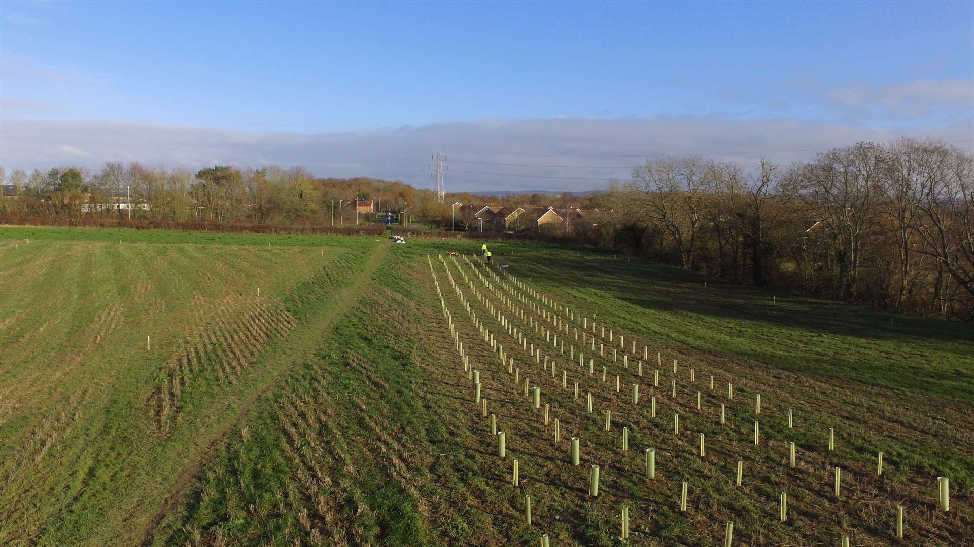 More than 1000,000 trees will be planted in the Ashford borough over the next three winters