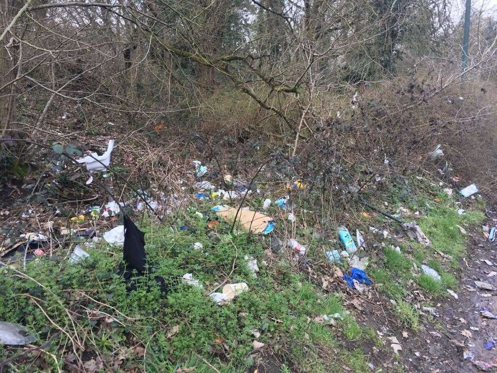 The Friends of Dartford Heath tackled the litter over a three-month period. Picture: Sam Brennan