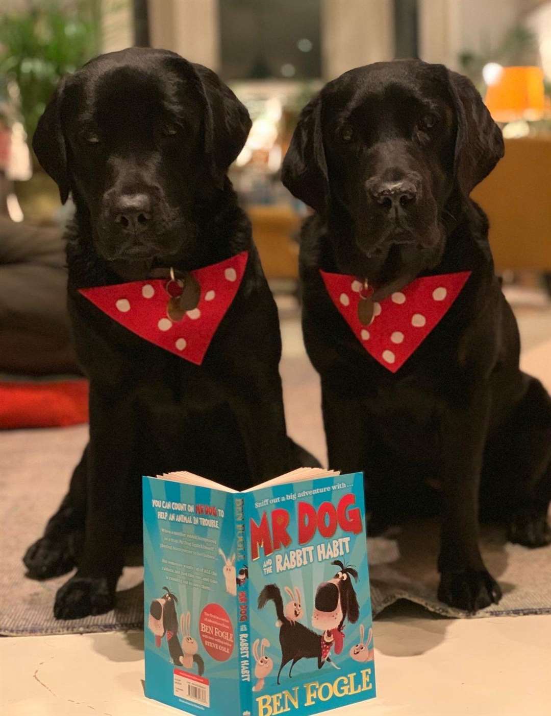 Dogs Storm and Nero with Ben Fogle's first children's book