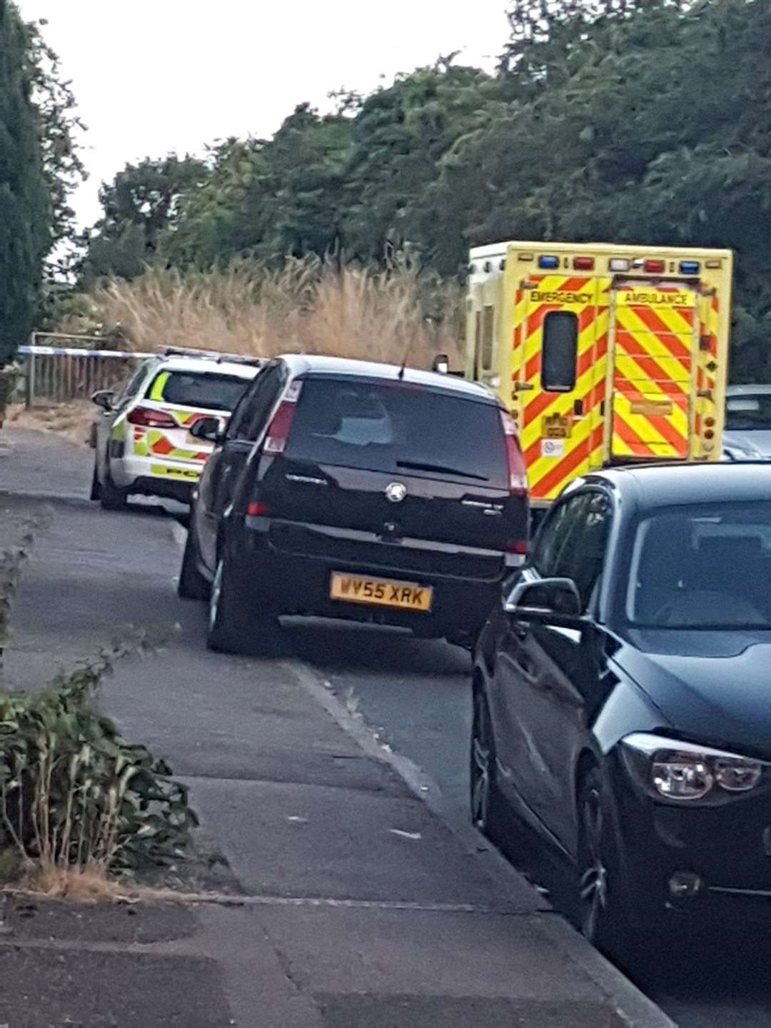 Emergency crews at Coney Banks. Picture by @LL2Be (3062993)