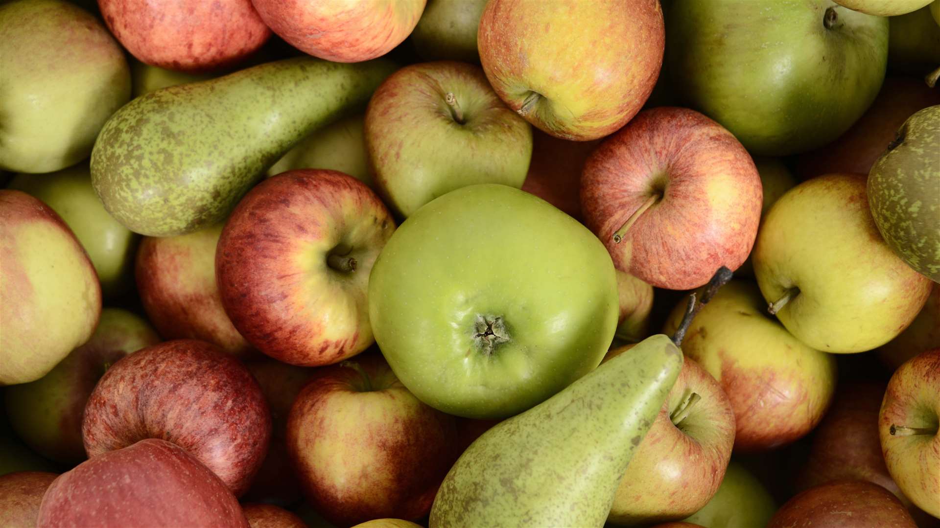 Goatham’s grows one in four of British apples and one in three of the British Conference pears sold in the UK each year.
