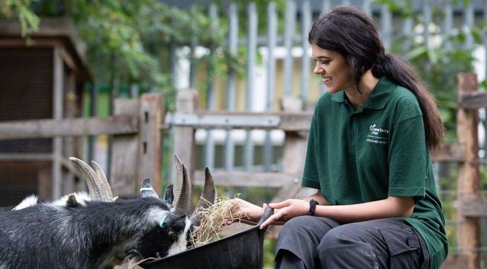 Students can study on one of the professionally-accredited courses from Level 1 to Level 3. This means that they can progress their skills from never having studied land-based and animal management to preparing you for degree level qualification, all in one place.