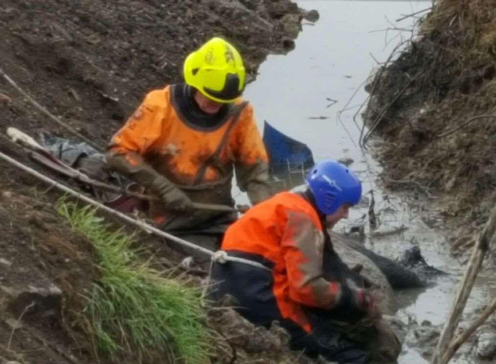 Firefighters and a vet helped rescue Lucky the horse from the ditch