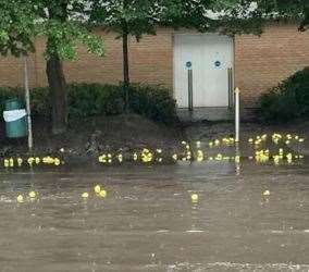 Rubber ducks floating on the floodwater last June
