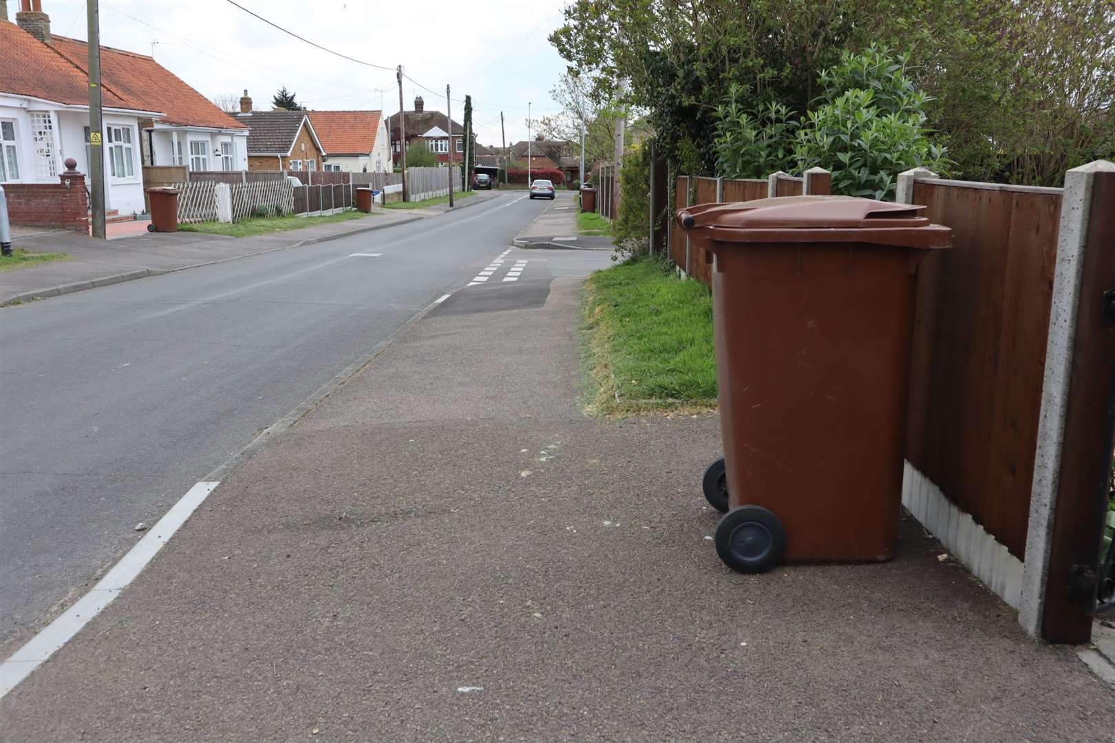 Brown bin collection for garden waste is returning to Sittingbourne and Sheppey