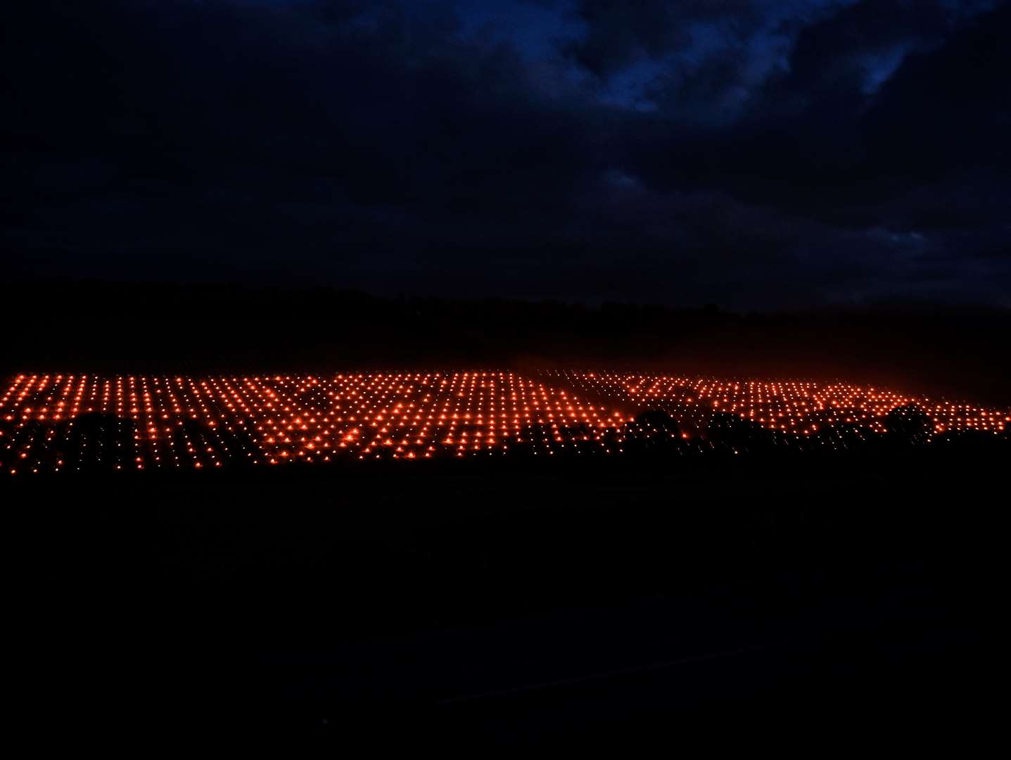 Some Barham residents thought aliens had landed - but in fact it was hundreds of candles lit to keep frost of the vines at the Simpsons Wine Etate. Picture: Helen Power / Simpsons Wine Estate