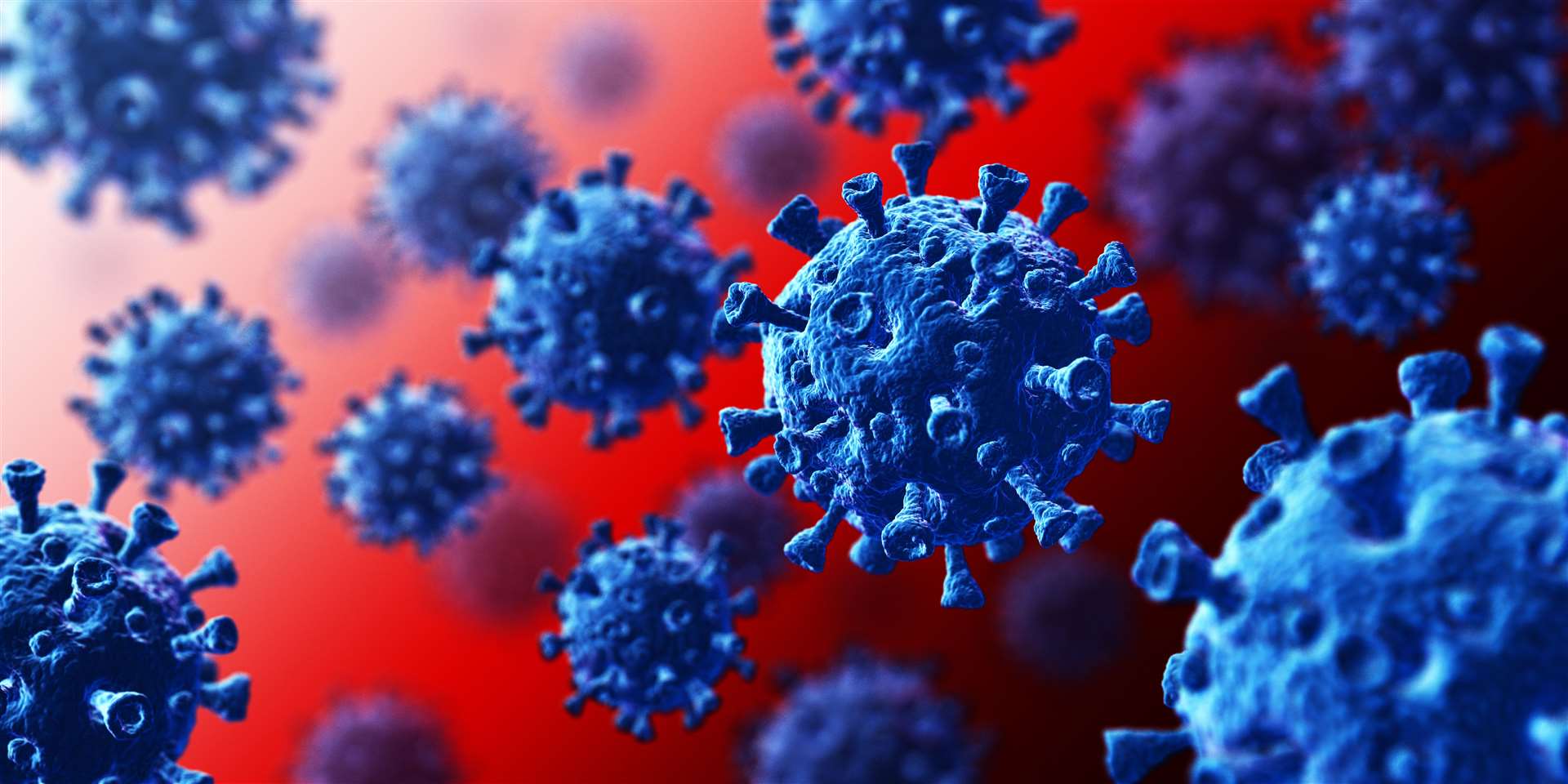 Coronavirus deaths are expected to peak next Wednesday