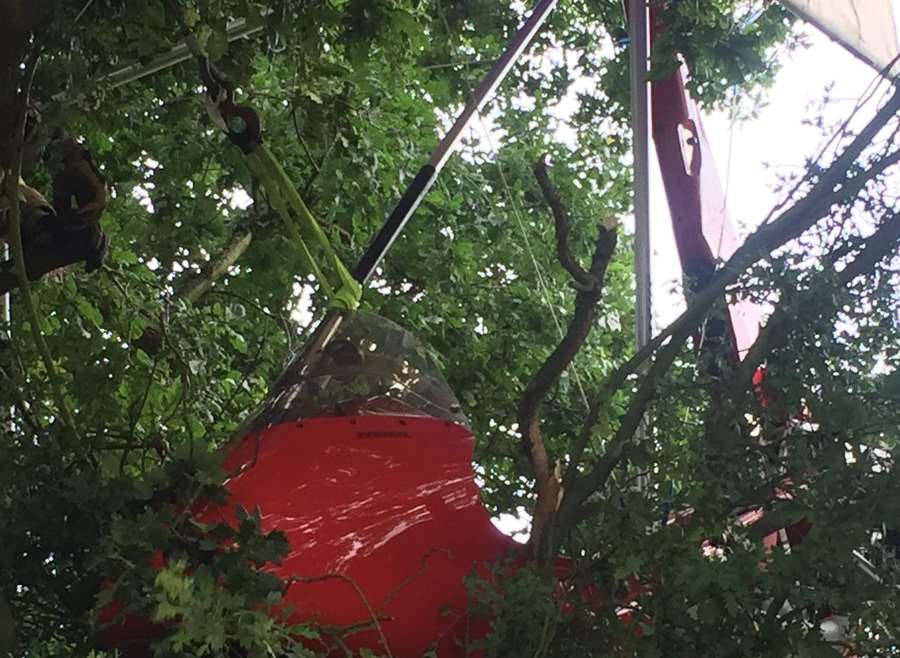 The microlight stuck in the tree. Picture: SECAmb Hart