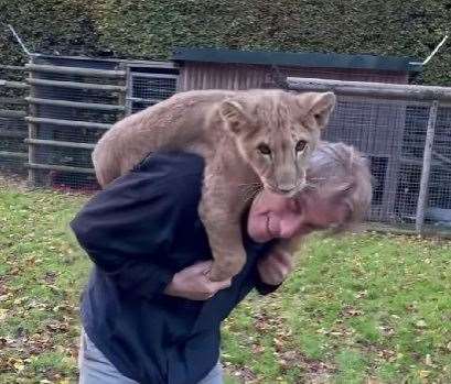 Damian Aspinall with one of the lions he has hand-reared at Howletts. Picture: Damian Aspinall on Instagram