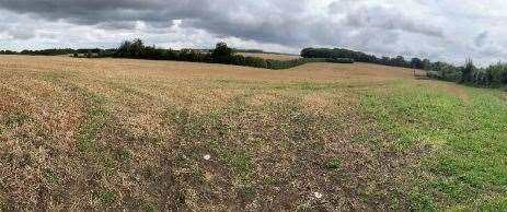 The fields that surround Pitstock Farm could become a solar farm. Picture: Kernon Countryside Consultants