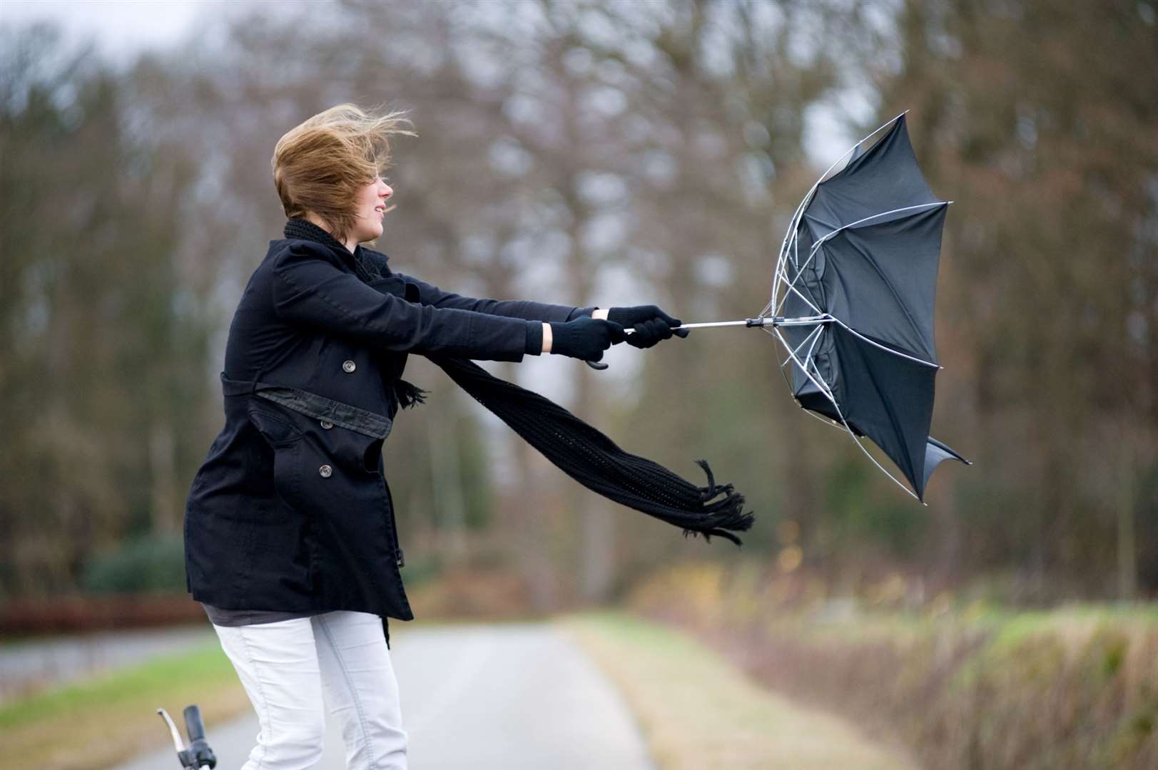 A yellow wind warning is in place across the county. Picture: istock
