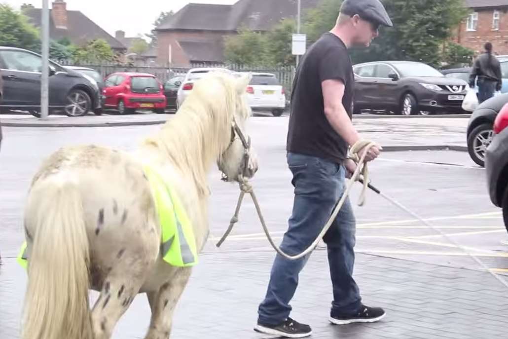 The man leads his pony away from the store