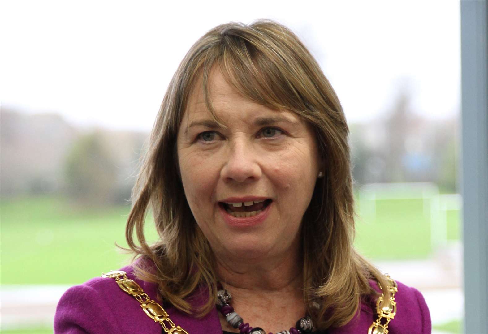 KCC Cllr Sue Chandler is making the case for more information Picture: Rebecca Holliday