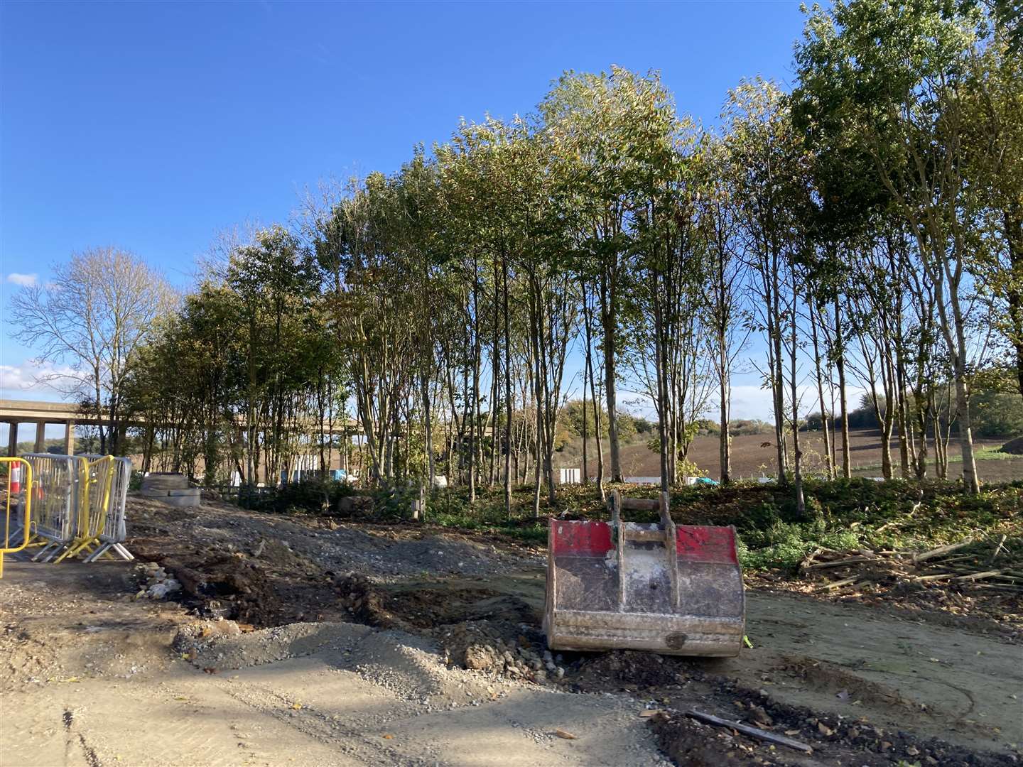 Not all trees were dug up for the M2 A249 construction site at Stockbury. Picture: John Nurden (60445851)