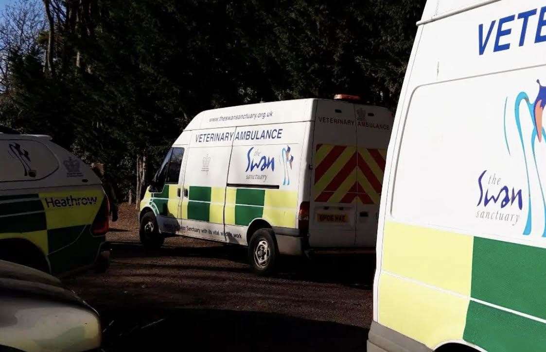 Swan sanctuary ambulances. Picture: Molly Freeman