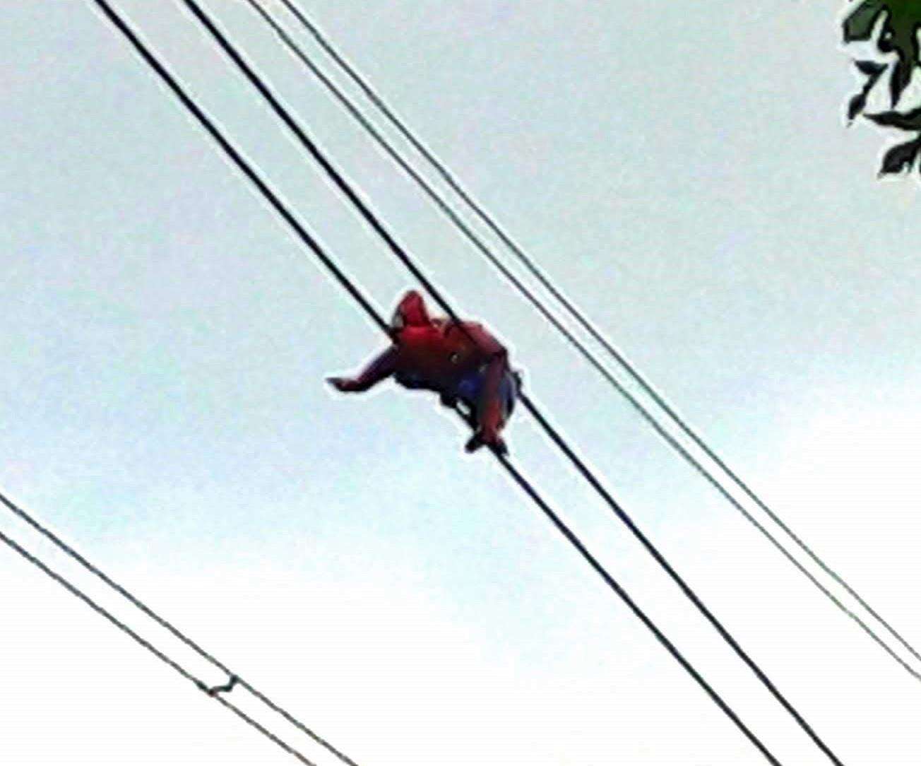 Spiderman tangled in a web of power cables (2791737)