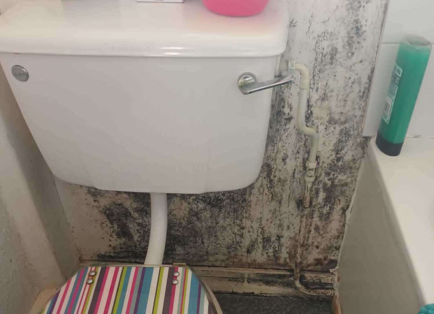 Mould on the wall of the bathroom. Picture: Emily Cave