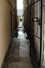 Alleygates like these are being demanded by residents fed up with anti-social crime