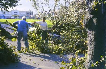 Clearing up trees in the aftermath of the Great Storm of '87.