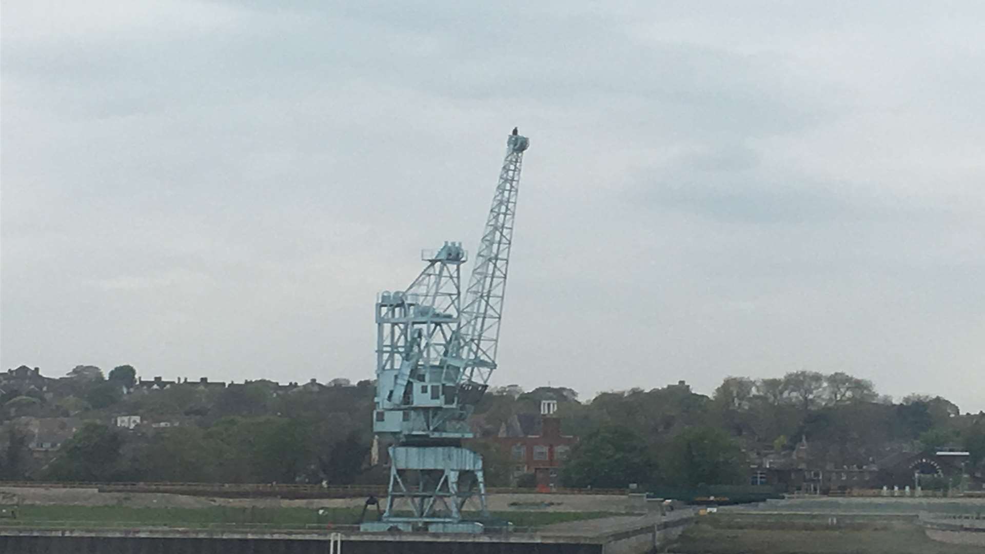The man on top of the crane.