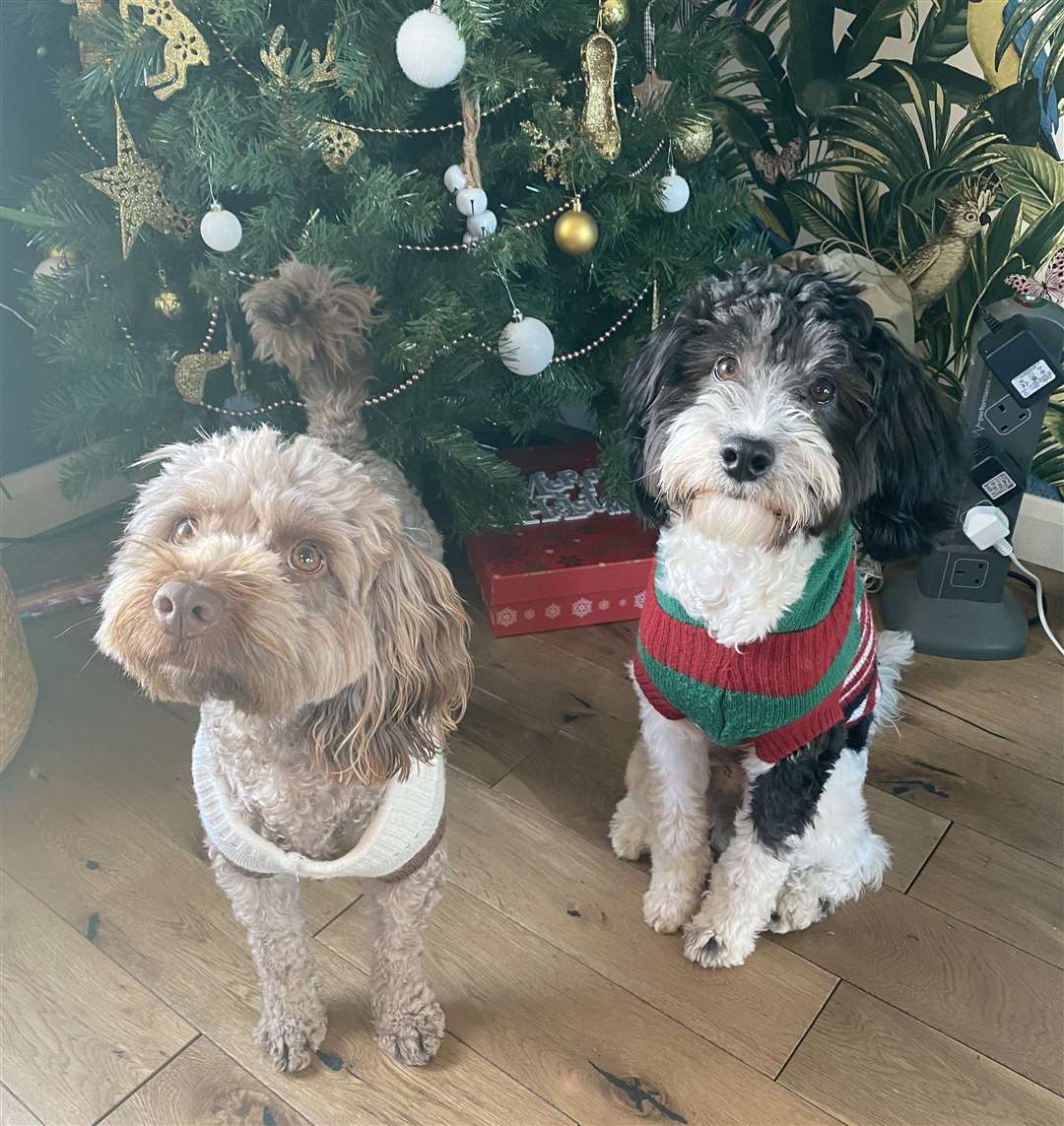 Betty and Barney in their festive finest