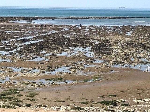 People collecting shellfish on the Thanet coast. Picture: Thanet Coast: NE Kent Marine Protected Area
