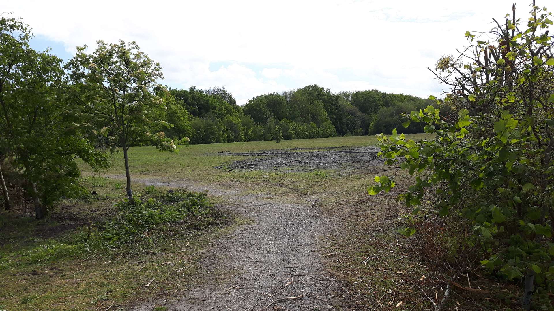 The site where Quinn Estates plan to build 210 new and self build homes at Betteshanger beside Colliers Way
