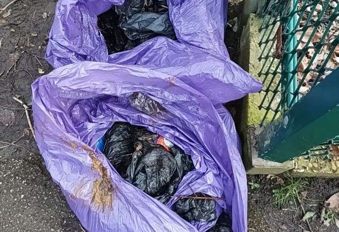Sandgate councillor Tim Prater is furious after finding 210 bags of dog poo dumped in undergrowth alongside a footpath. Pictures: Tim Prater