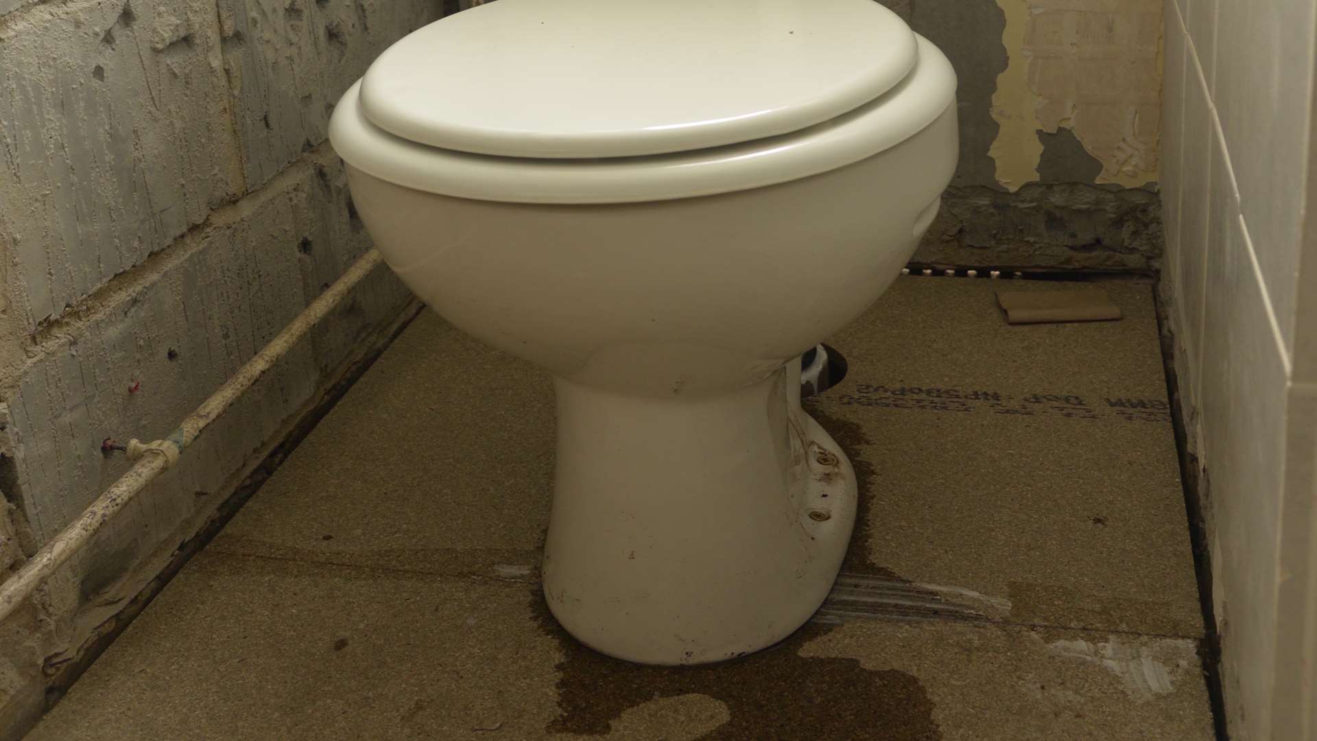 The toilet leaks when it is flushed, sending dirty water over the floor. Picture: Ruth Cuerden