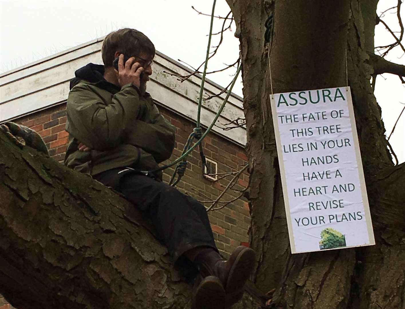 Protester Mark Hood in the tree he helped save in River Lawn Road in Tonbridge