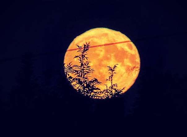 The harvest moon over Dartford. Picture: Amar Sian