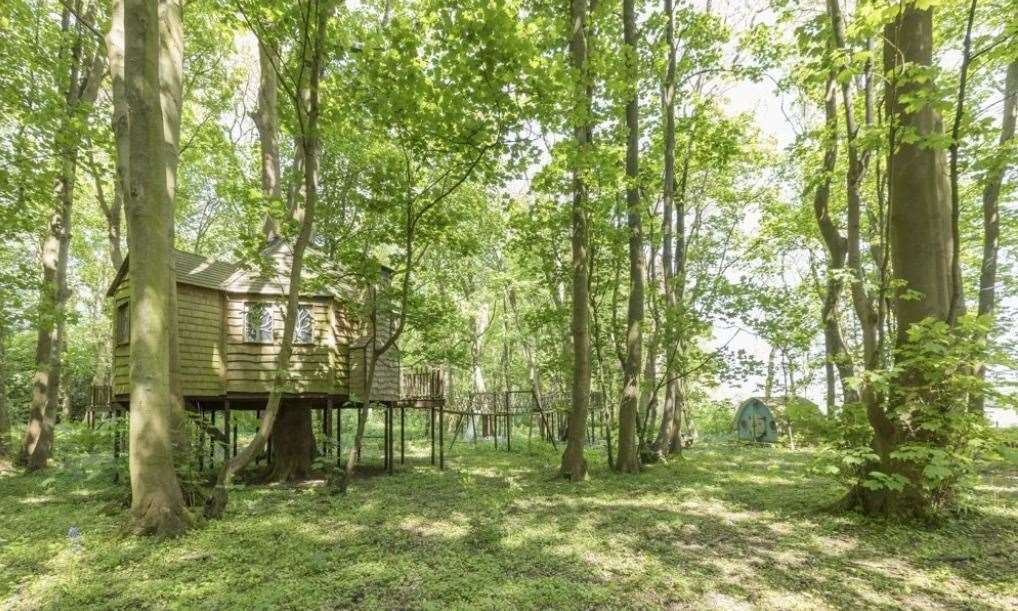 The treehouse is one of the buildings in the woodland Picture: UK Sotheby's International Realty - Cobham