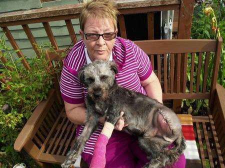 Raggs the dog, who suffered appalling injuries after being hit by a train near Hollingbourne, with owner Margaret Whittington.