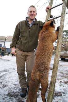 Keith Talbot next to the giant fox. Picture supplied Fieldsports Channel