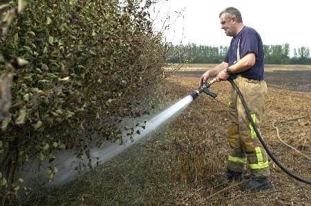 A firefighter dampens down the hedge at the edge of the field near Back Street. Pictures: ANDY PAYTON