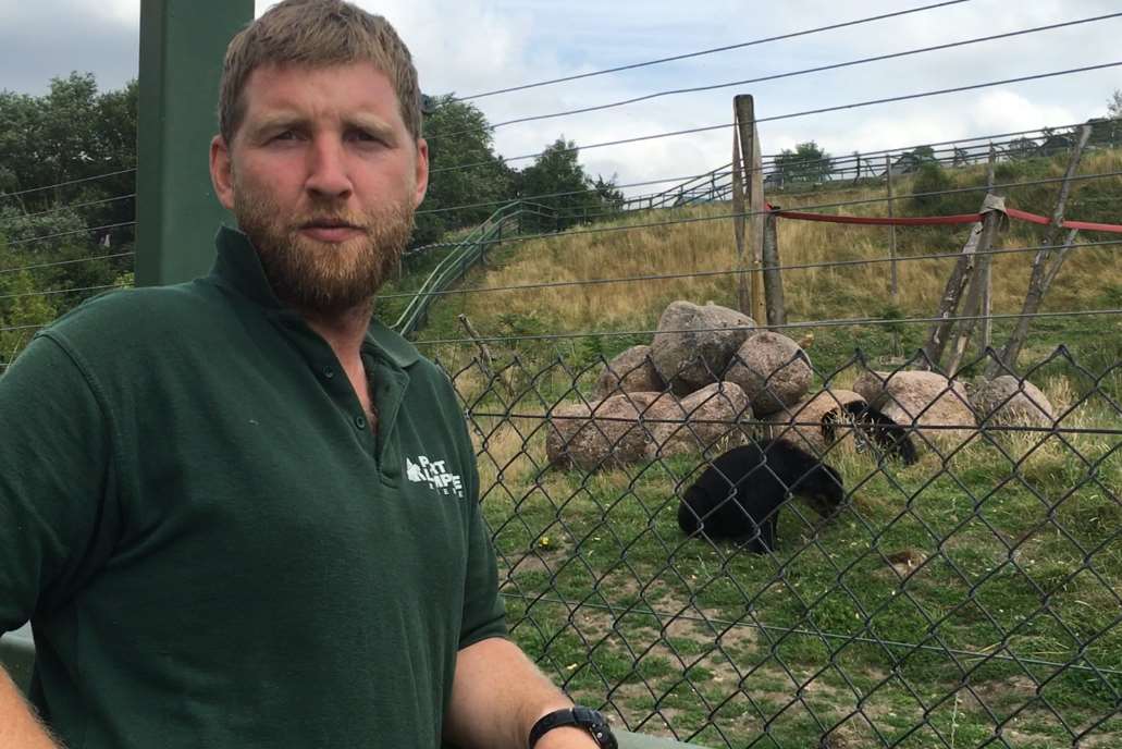 Port Lympne's head of large carnivores, Richard Barnes, who looks after Rina and Oberon
