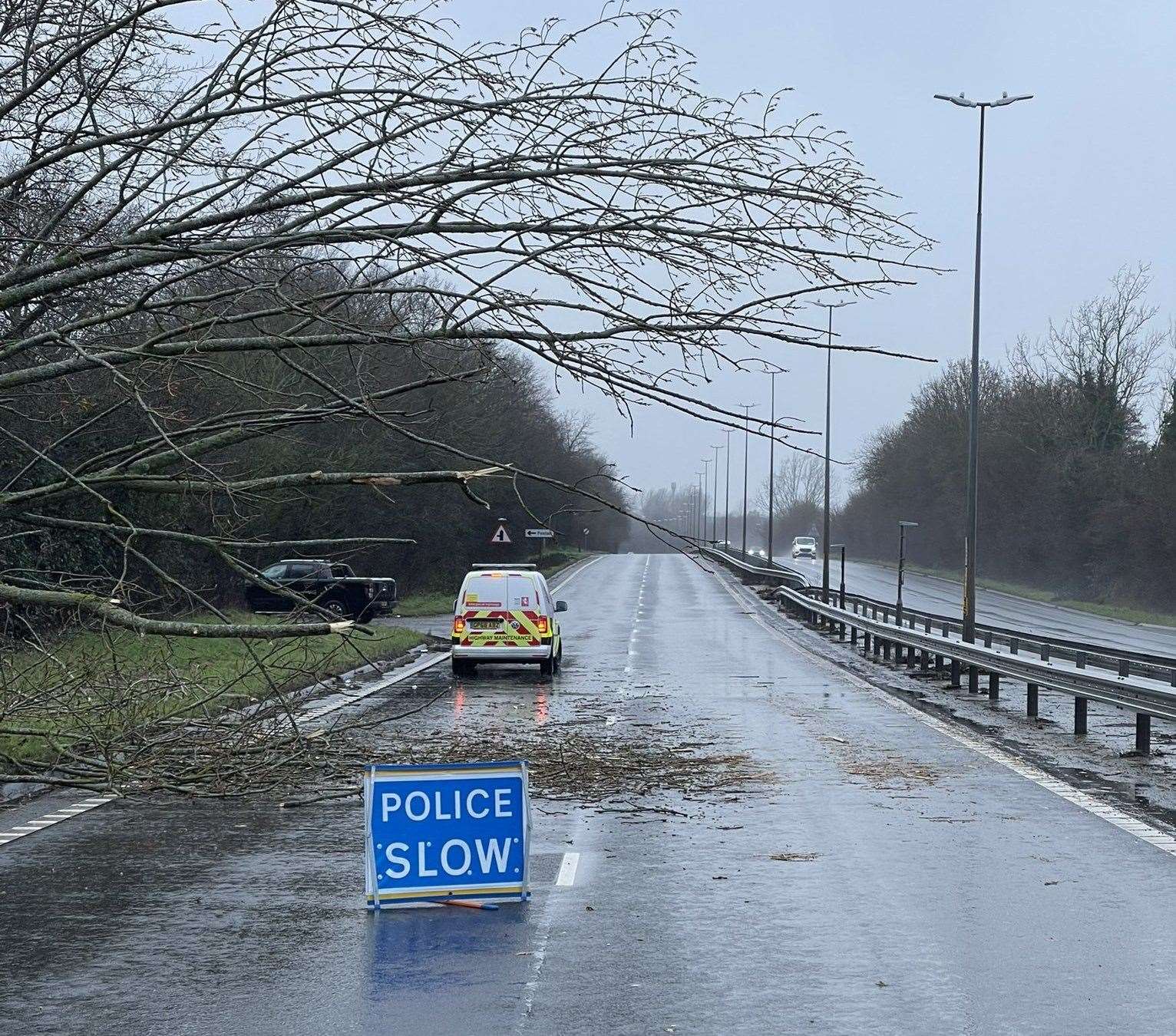 A tree fell on a car windscreen on the A299 Thanet Way near Whitstable. Picture: Kent Police Specials