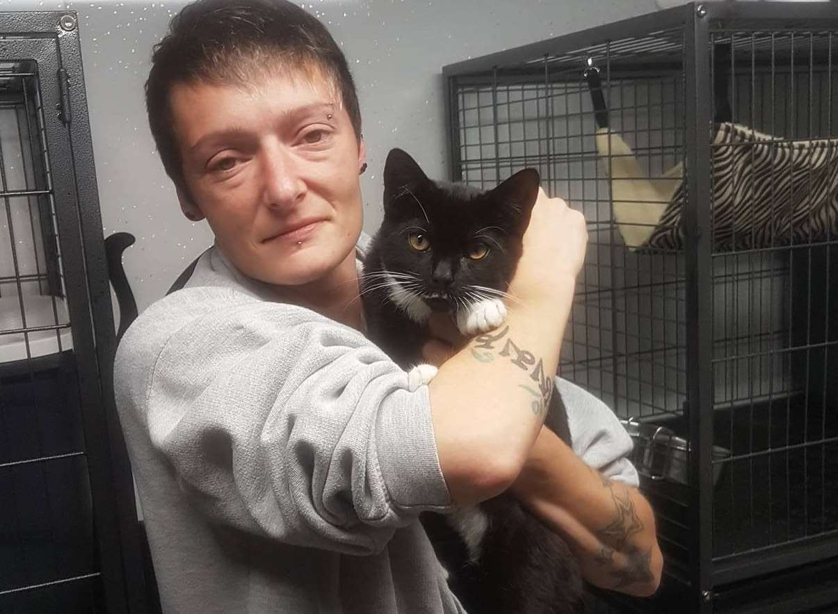 An eight-month-old cat, nicknamed Ford, was discovered hiding in the engine of a van