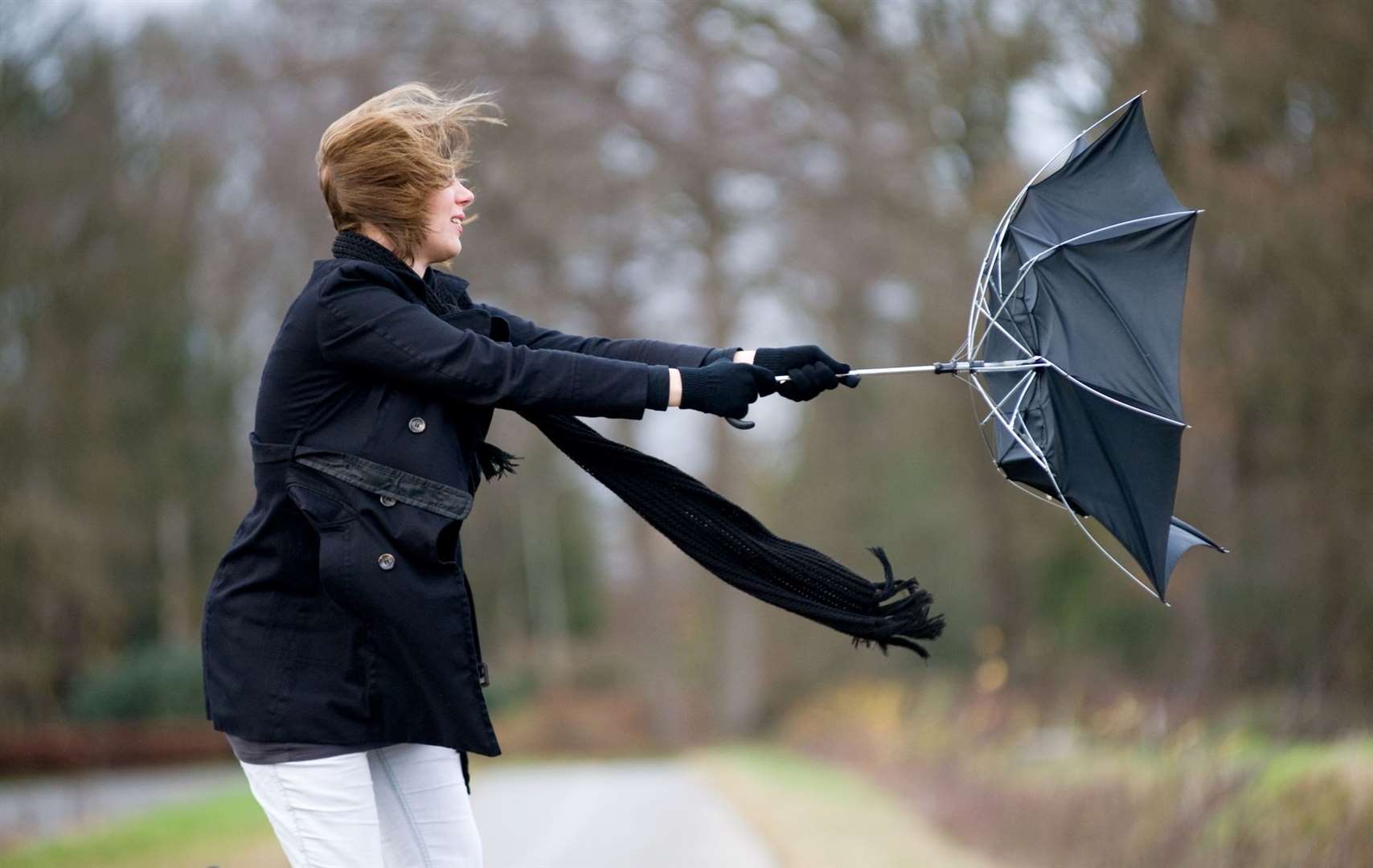 Kent can expect strong winds later this week. Picture: iStock